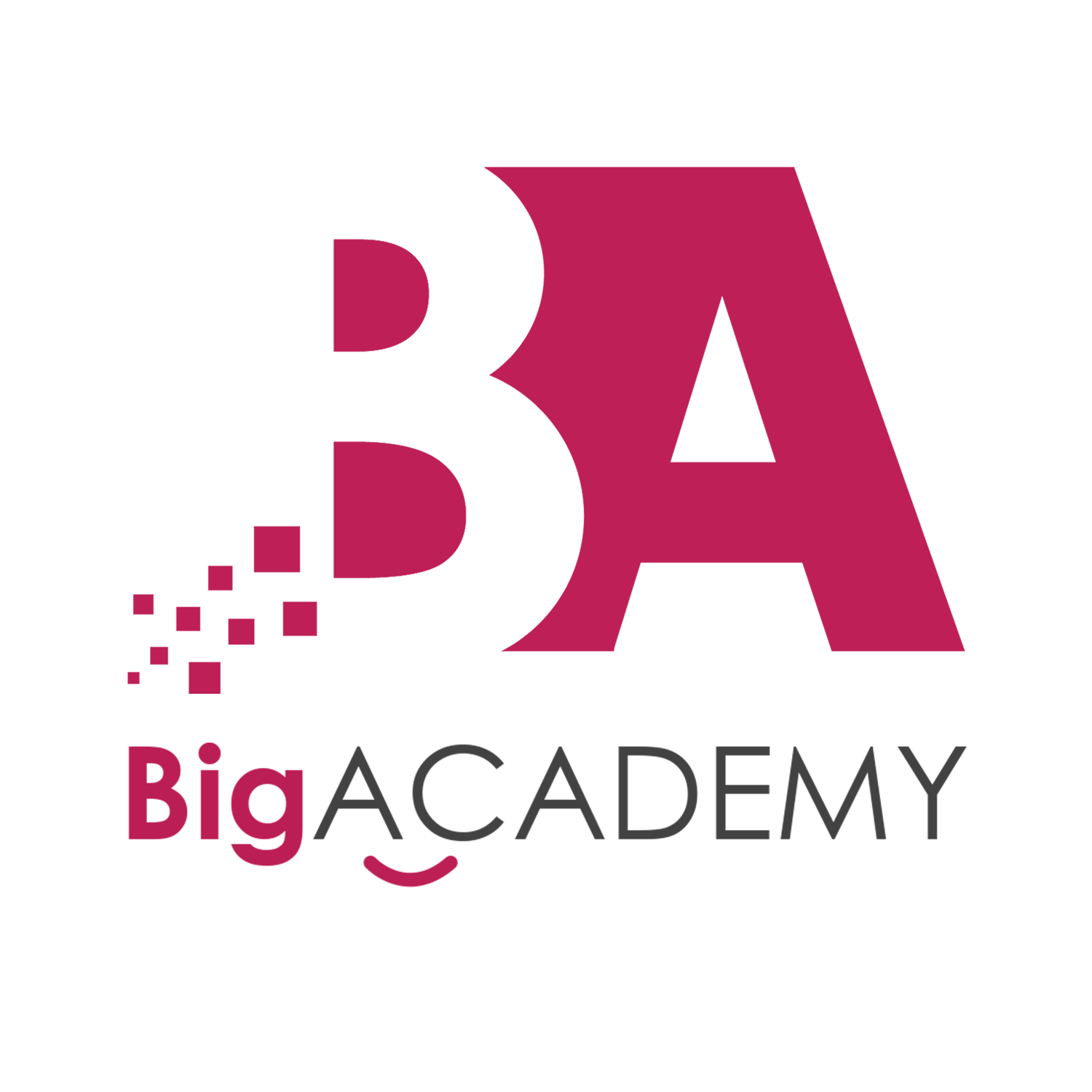 BigACADEMY